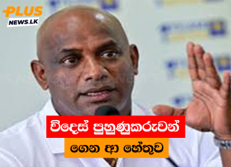 විදෙස් පුහුණුකරුවන් ගෙන ආ හේතුව