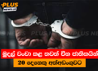 මුදල් වංචා කළ තවත් චීන ජාතිකයින් 20 දෙනෙකු අත්අඩංගුවට