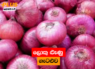 ලොකු ළුෑණු ගැටළුව