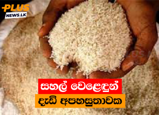 සහල් වෙළෙඳුන් දැඩි අපහසුතාවක