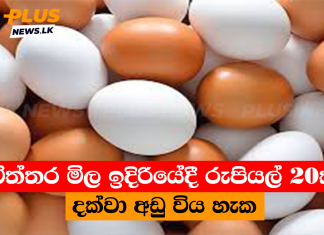 බිත්තර මිල ඉදිරියේදී රුපියල් 20ක් දක්වා අඩු විය හැක