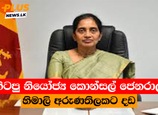 හිටපු නියෝජ්ය කොන්සල් ජෙනරාල් හිමාලි අරුණතිලකට දඩ