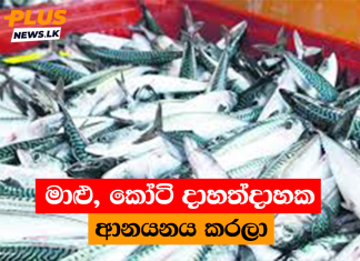 මාළු කෝටි දාහත්දාහක ආනයනය කරලා