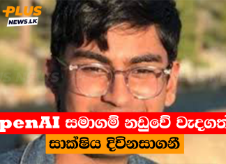 OpenAI සමාගම් නඩුවේ වැදගත්ම සාක්ෂිය දිවිනසාගනී
