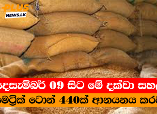 දෙසැම්බර් 09 සිට මේ දක්වා සහල් මෙට්රික් ටොන් 440ක් ආනයනය කරයි