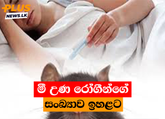මී උණ රෝගීන්ගේ සංඛ්යාව ඉහළට