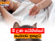 මී උණ රෝගීන්ගේ සංඛ්යාව ඉහළට