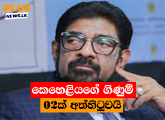 කෙහෙළියගේ ගිණුම් 02ක් අත්හිටුවයි