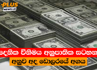 දෛනික විනිමය අනුපාතික සටහනට අනුව අද ඩොලරයේ අගය