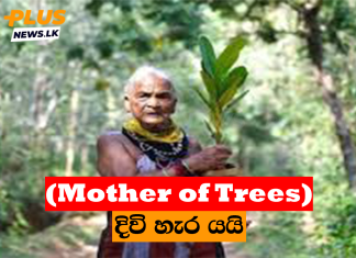 (Mother of Trees) දිවි හැර යයි