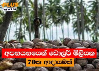 අපනයනයෙන් ඩොලර් මිලියන 70ක ආදායමක්