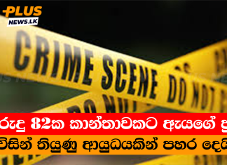 අවුරුදු 82ක කාන්තාවකට ඇයගේ පුතා විසින් තියුණු ආයුධයකින් පහර දෙයි