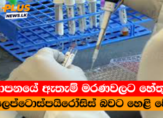 යාපනයේ ඇතැම් මරණවලට හේතුව ලෙප්ටොස්පයිරෝසිස් බවට හෙළි වේ