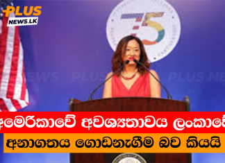 අමෙරිකාවේ අවශ්යතාවය ලංකාවේ අනාගතය ගොඩනැගීම බව කියයි