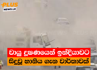 වායු දූෂණයෙන් ඉන්දියාවට සිදුවූ හානිය ගැන වාර්තාවක්