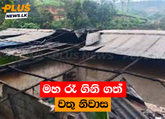 මහ රෑ ගිනි ගත් වතු නිවාස