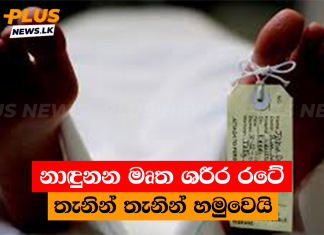 නාඳුනන මෘත ශරීර රටේ තැනින් තැනින් හමුවෙයි