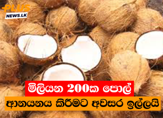 මිලියන 200ක පොල් ආනයනය කිරීමට අවසර ඉල්ලයි