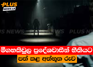 මීගහකිවුල ප්රදේශවාසීන් භීතියට පත් කළ අත්භූත රුව
