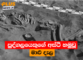 පුද්ගලයෙකුගේ අස්ථි හමුවූ මාළු දැල