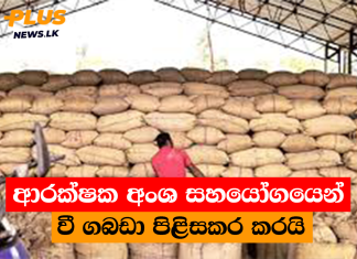 ආරක්ෂක අංශ සහයෝගයෙන් වී ගබඩා පිළිසකර කරයි