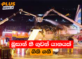 බුසාන් හී ගුවන් යානයක් ගිනි ගනී