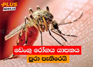 ඩෙංගු රෝගය යාපනය පුරා පැතිරෙයි
