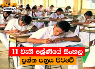 11 වැනි ශ්රේණියේ සිංහල ප්රශ්න පත්රය පිටවේ