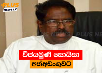 විජයමුණි සොයිසා අත්අඩංගුවට