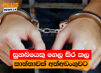 සුනඛයෙකු ගෙල සිර කල කාන්තාවක් අත්අඩංගුවට