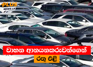 වාහන ආනයනකරුවන්ගෙන් රතු එළි
