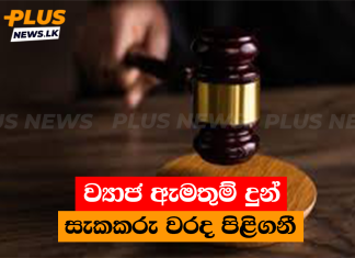 ව්යාජ ඇමතුම් දුන් සැකකරු වරද පිළිගනී
