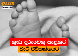 කුඩා දරුවෙකු ඇළකට වැටී ජීවිතක්ෂයට