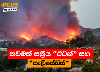 තවමත් සක්රීය “ඊටන්” සහ “පැලිසේඩ්ස්”