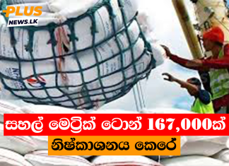 සහල් මෙට්රික් ටොන් 167,000ක් නිෂ්කාශනය කෙරේ