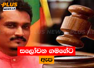 සලෝචන ගමගේට ඇප