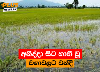අනිද්දා සිට හානි වූ වගාවලට වන්දි
