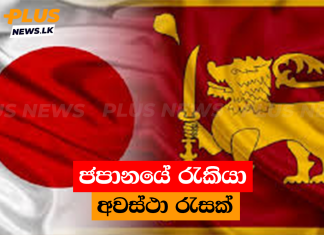 ජපානයේ රැකියා අවස්ථා රැසක්