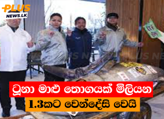 ටූනා මාළු තොගයක් මිලියන 1.3කට වෙන්දේසි වෙයි