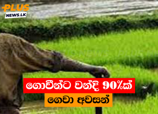 ගොවීන්ට වන්දි 90%ක් ගෙවා අවසන්