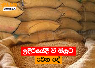ඉදිරියේදී වී මිලට වෙන දේ