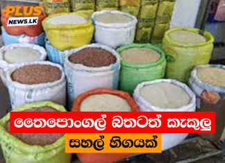 තෛපොංගල් බතටත් කැකුලු සහල් හිගයක්