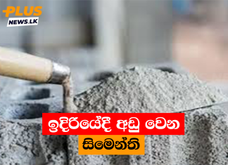 ඉදිරියේදී අඩු වෙන සිමෙන්ති