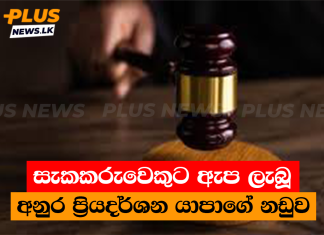 සැකකරුවෙකුට ඇප ලැබූ අනුර ප්රියදර්ශන යාපාගේ නඩුව