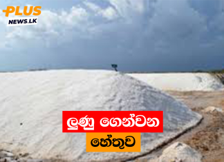 ලුණු ගෙන්වන හේතුව