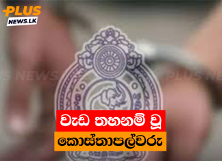 වැඩ තහනම් වූ කොස්තාපල්වරු
