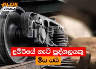 දුම්රියේ ගැටී පුද්ගලයකු මිය යයි