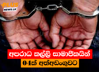 අපරාධ කල්ලි සාමාජිකයින් 04ක් අත්අඩංගුවට