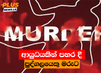 ආයුධයකින් පහර දී පුද්ගලයෙකු මරුට
