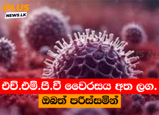 එච්.එම්.පී.වී වෛරසය අත ලග. ඔබත් පරිස්සමින්